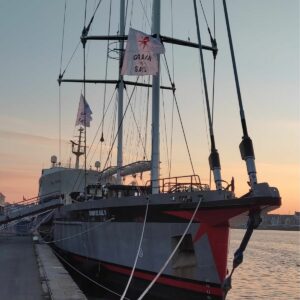 Grain de sail II | The first modern cargo sailboat