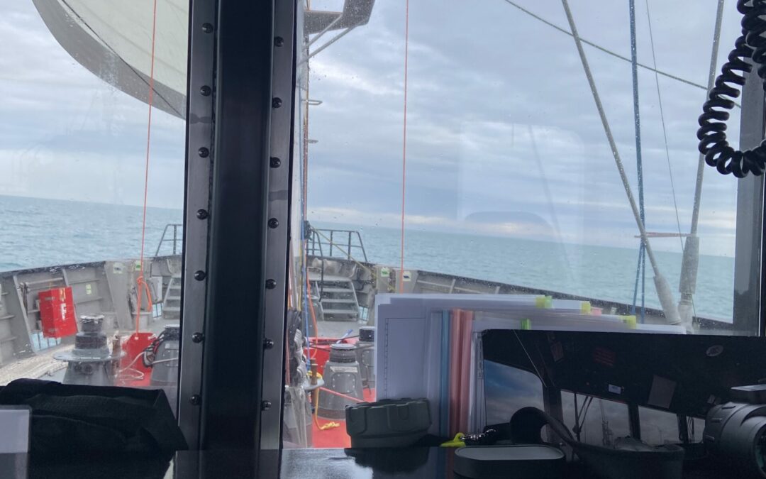 Grain de Sail II | We went aboard
